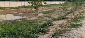 Plot Area in  Plot at Radha Krishna Residency, Tilapta – for Sale