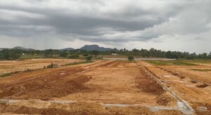  Plot For Sale in Gosainganj
