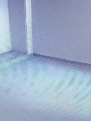 2 BHK Apartment For Rent in Amrapali Golf Homes, Sector 4 Greater Noida