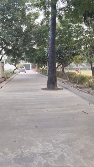  Plot – Exterior View View at Omaxe City, Omaxe City - for Sale