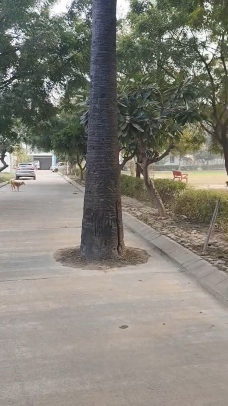 Exterior View, omaxe-city  3150 Sq.Ft. Plot In Omaxe City Lucknow 9950029