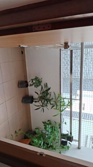 Bathroom in 2 BHK Apartment at Nandi Citadel, Bannerghatta Road – for Rent