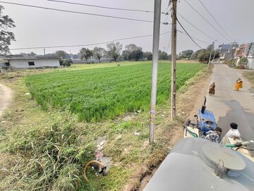 Plot Area in  Land at Rau – for Rent