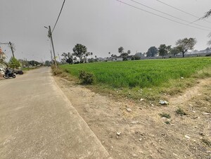 Plot Area in  Land at Rau – for Rent