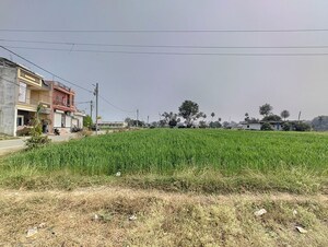  Land For Rent in Rau
