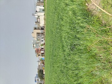  Land – Exterior View View at Rau - for Rent