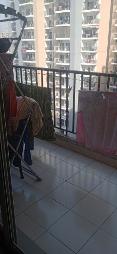 3 BHK Apartment For Rent in Panchsheel Greens II