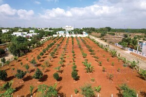 Plot Area in  Plot at Fortune Butterfly City, Kadthal – for Sale