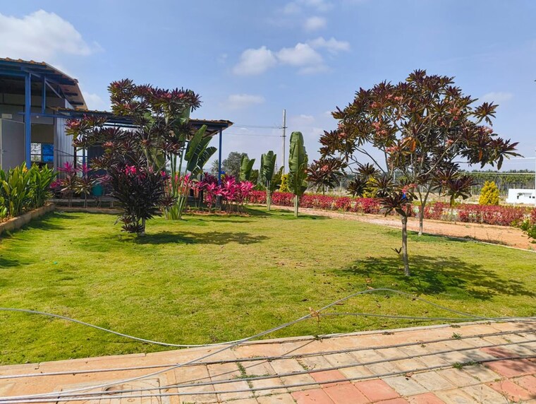 Garden, channarayapatna  1200 Sq.Ft. Plot In Channarayapatna Bangalore 9951816