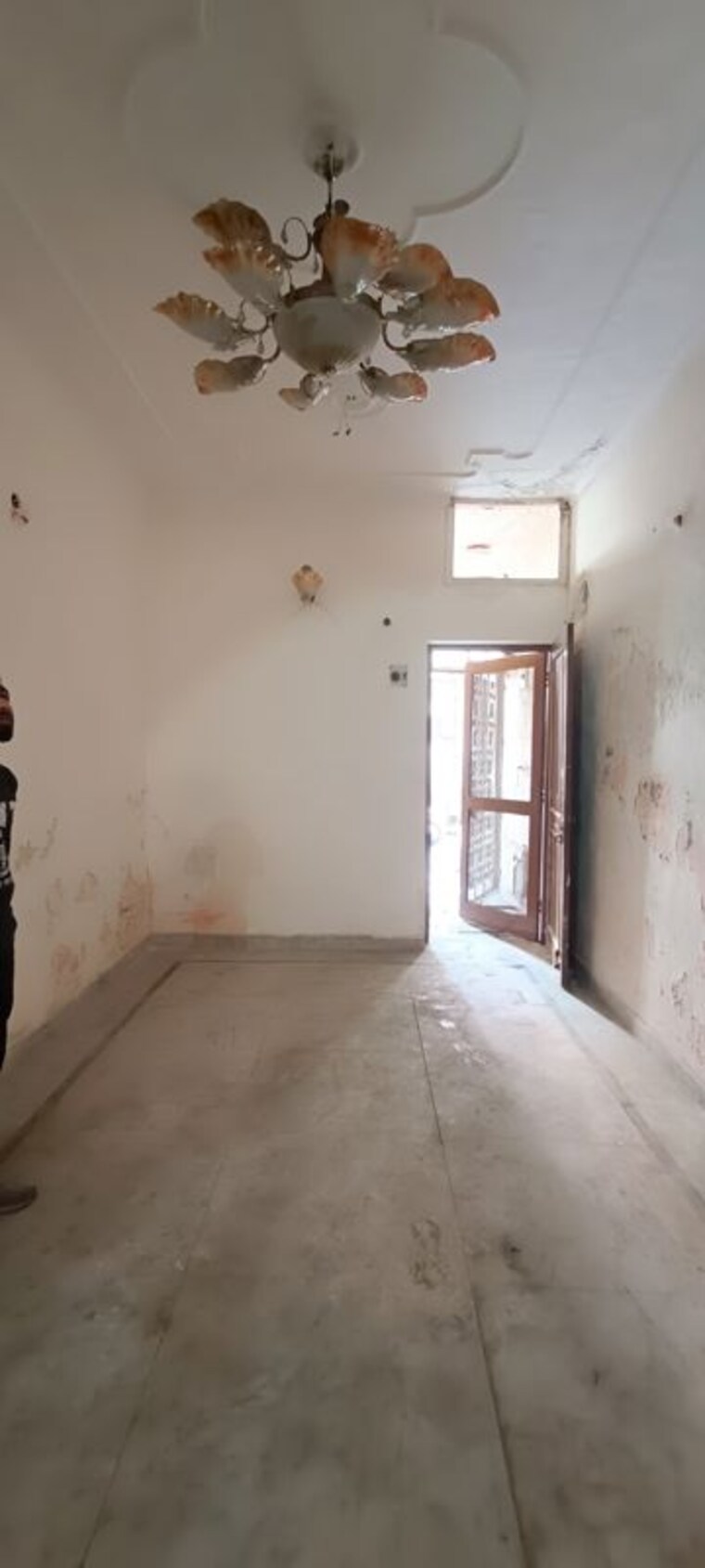 Room, rohini sector 8 3 Bedroom 450 Sq.Ft. Independent House In Rohini Sector 8 Delhi 9952147