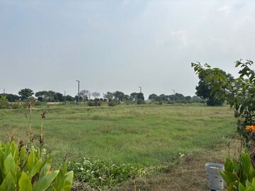 Plot Area in  Plot at Sector 78 – for Sale
