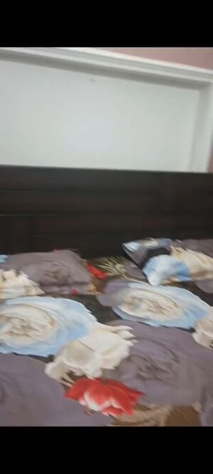 Bedroom in 1 BHK Independent House at Beta Ii Greater Noida – for Rent