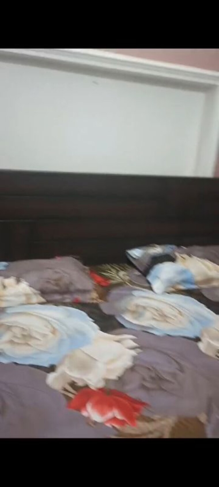 Bedroom, beta ii greater noida 1 Bedroom 60 Sq.Mt. Independent House In Beta Ii Greater Noida Greater Noida 9952501