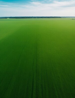 Plot Area in  Plot at Mullanpur – for Sale