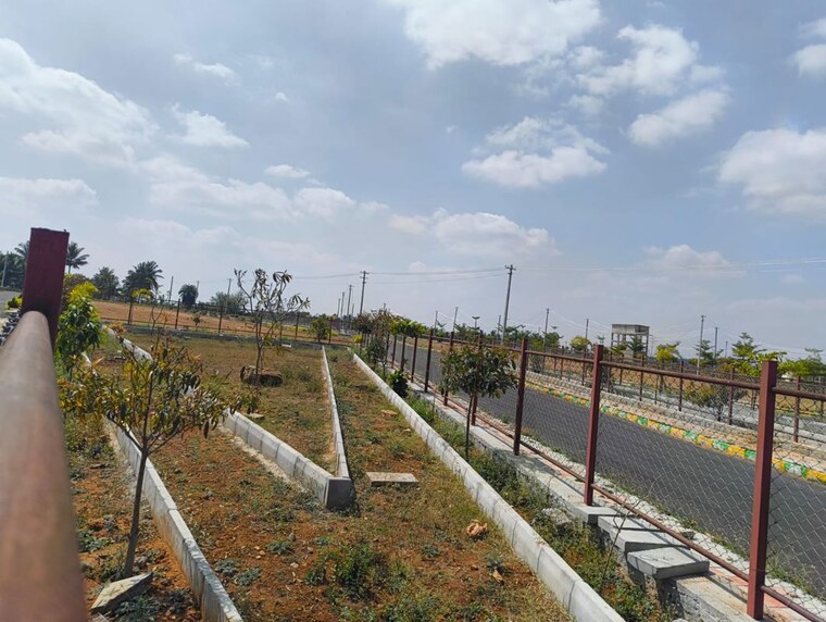 undefined, channarayapatna  1200 Sq.Ft. Plot In Channarayapatna Bangalore 9953202