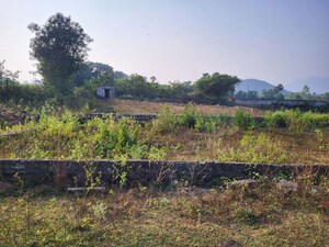 Plot Area in  Plot at Kothapalem – for Sale