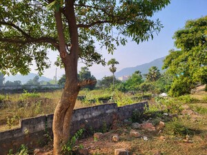  Plot For Sale in Kothapalem