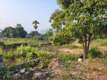 Plot Area in  Plot at Kothapalem – for Sale