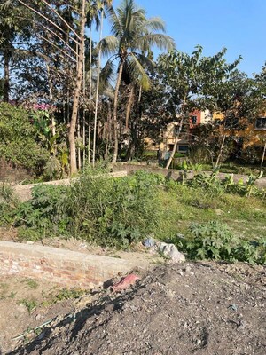 Plot Area in  Land at Naihati – for Rent