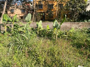 Plot Area in  Land at Naihati – for Rent