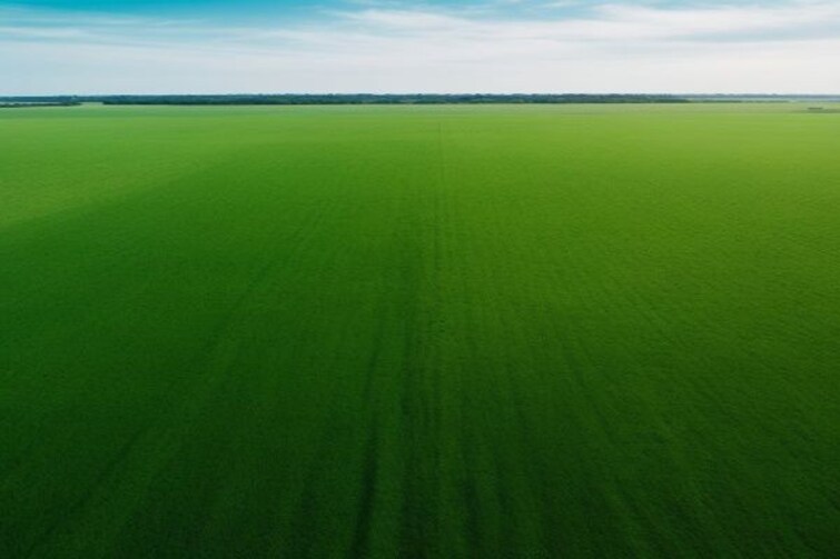 Cover Image, mullanpur  2152 Sq.Ft. Plot In Mullanpur Mohali 9954146