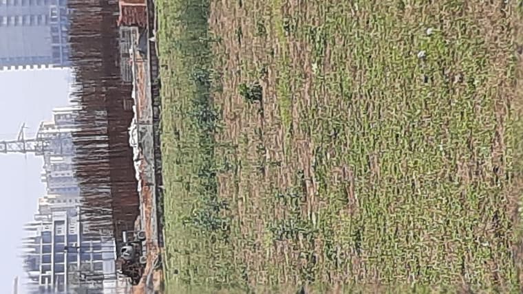 undefined, breez-global-heights-89 3 Bedroom 745 Sq.Ft. Apartment In Sector 89 Gurgaon 9954342