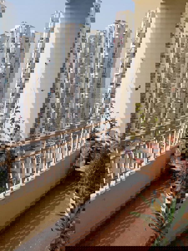 4 BHK + Pooja Room 2050 Sq.Ft. Apartment in UPAVP Ganga Yamuna And Hindon Enclave