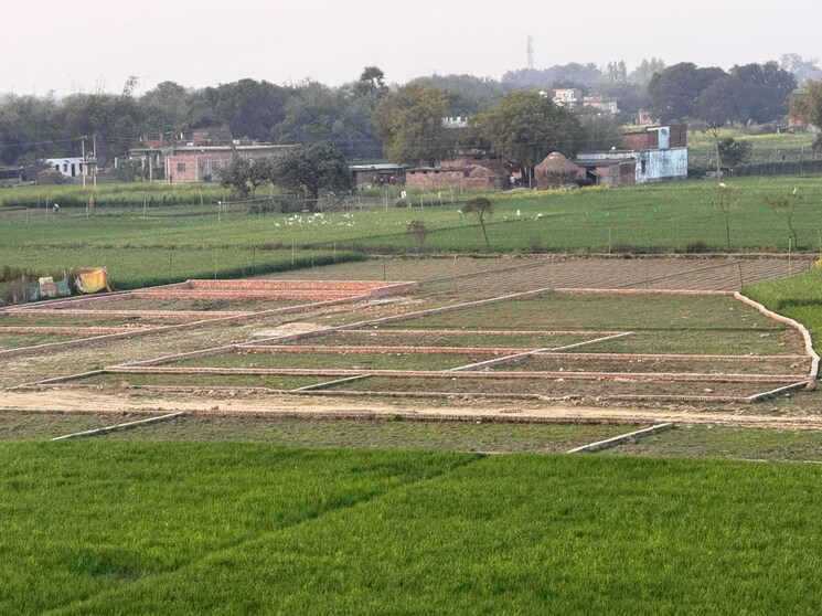 undefined, gangapur  900 Sq.Ft. Plot In Gangapur Varanasi 9954841