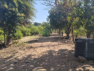 Plot Area in  Plot at Shankarpalli – for Sale