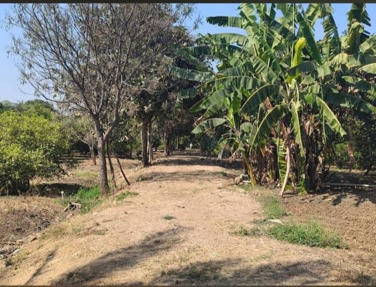 undefined, shankarpalli  121 Sq.Yd. Plot In Shankarpalli Hyderabad 9946503