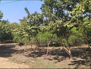 Plot Area in  Plot at Shankarpalli – for Sale