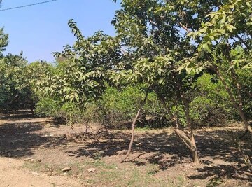 Plot Area in  Plot at Shankarpalli – for Sale