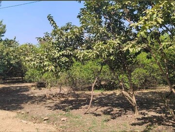 Plot Area in  Plot at Shankarpalli – for Sale