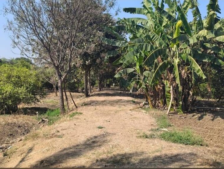 undefined, shankarpalli  121 Sq.Yd. Plot In Shankarpalli Hyderabad 9946503