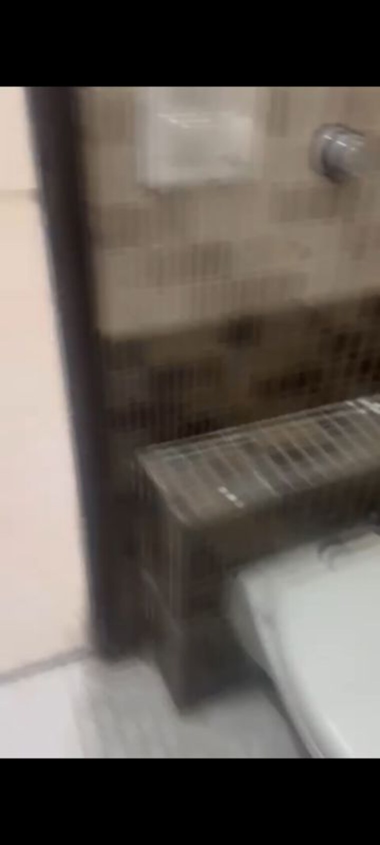 undefined, sector 38 3 Bedroom 2500 Sq.Ft. Builder Floor In Sector 38 Chandigarh 9954891