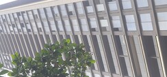 3 BHK + Servant Room Apartment For Sale in Bandra West