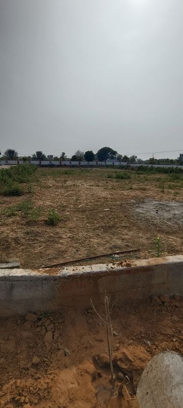 Plot Area in  Plot at Renwal Manji – for Sale