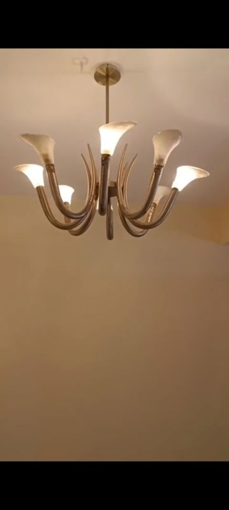 undefined, maryland-chs-worli 2 Bedroom 800 Sq.Ft. Apartment In Worli Mumbai 9955329