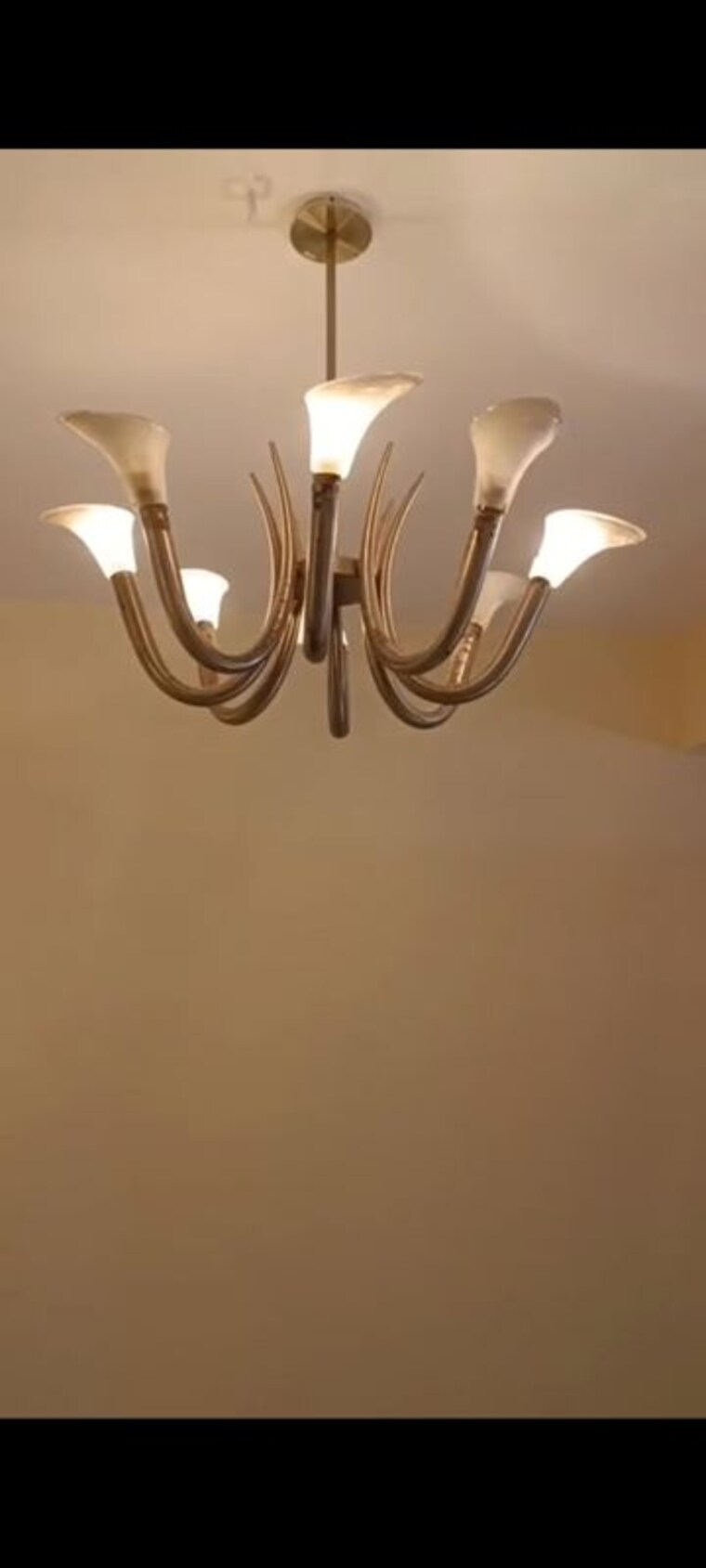 undefined, maryland-chs-worli 2 Bedroom 800 Sq.Ft. Apartment In Worli Mumbai 9955329