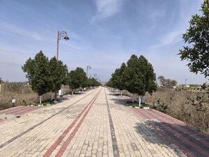  Plot – Garden View at KSD Yash Vihar, Pataudi - for Sale