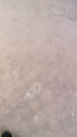 Floor Plan in  Office Space at Tejas Imperial, Wakad – for Rent