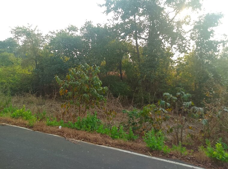 undefined, dronagiri  1089 Sq.Ft. Plot In Dronagiri Navi Mumbai 9955443