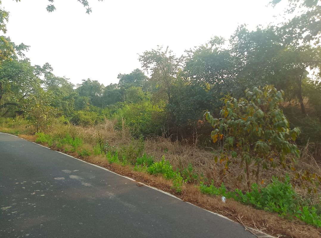 Plot For Sale in Dronagiri