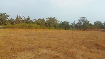 Plot Area in  Land at Jasai – for Sale