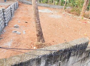  Plot For Sale in Pangodu