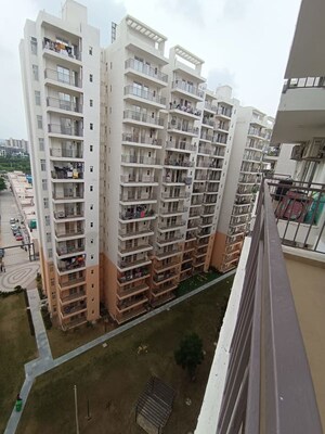3 BHK Apartment For Sale in ROF Amaltas, Sector 92