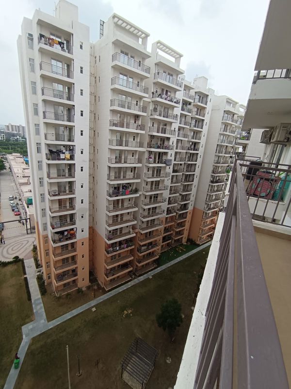 3 BHK Apartment For Sale in ROF Amaltas