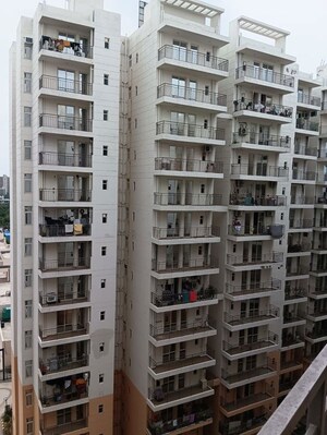 3 BHK Apartment – Exterior View View at ROF Amaltas, Sector 92 - for Sale