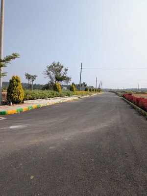  Plot For Sale in Vijay Nagar