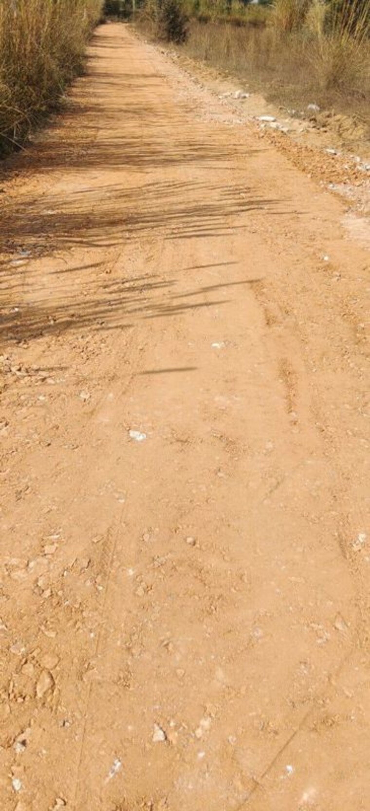 undefined, khatushyamji  100 Sq.Yd. Plot In Khatushyamji Sikar 9955970